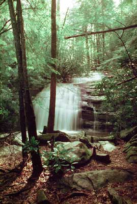 Long Creek Falls
