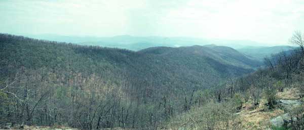 View from Tray Mountain