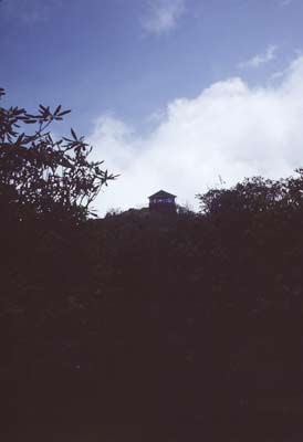 Mt. Cammerer firetower