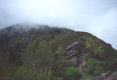Ridge leading to Mt. Cammerer firetower