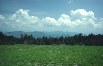 View from Roan High Knob Summit